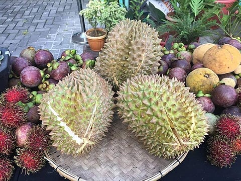 Cagro intensifies PhilGAP certification
for Davao City durian exports