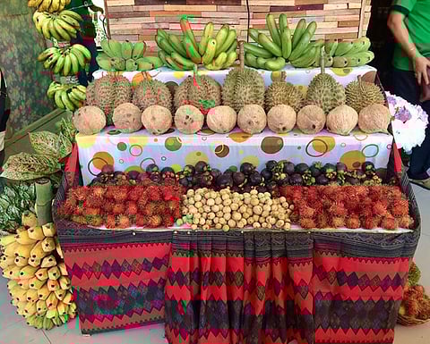 (Photo by Ivy C. Tejano)