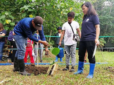 DAVAO. The Philippine Eagle Foundation coordinator shows volunteers how to properly plant and transplant trees. (Lyka Casamayor)