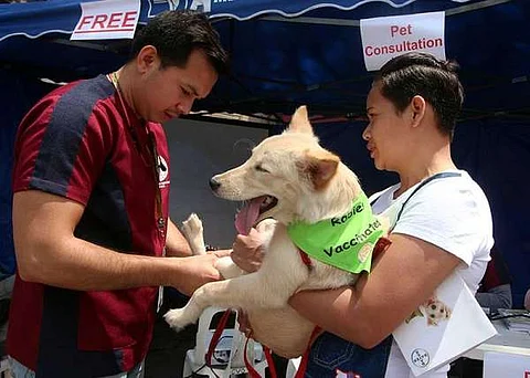 Bacolod health office urges stronger pet ownership drive