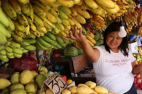 DAVAO. Around nine tons or 9,000 kilograms of mangoes and bananas from Davao region will be shipped to Bicol region this month.
