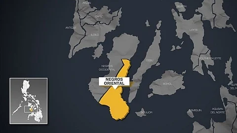 200 ka mga polis gidestino sa Negros Or. papaulion