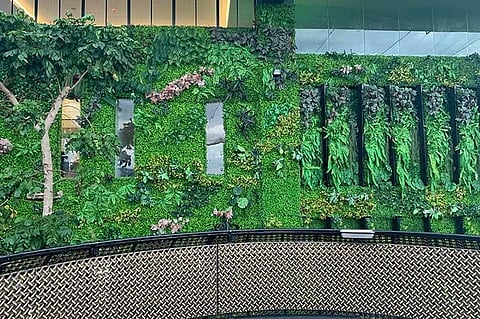 (Photo by Monica R. Lopez)