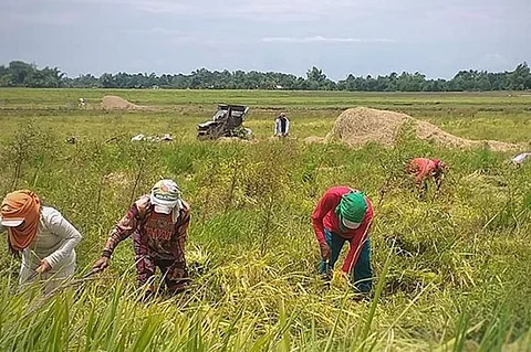 RAISING THE SKILLS OF FARMERS. The Technical Education and Skills Development Authority is tasked to teach skills on rice crop production, modern rice farming techniques, seed production, farm mechanization and technology transfer through farm schools nationwide.