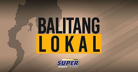 Bus nahulog sa bung-aw, 26 angol