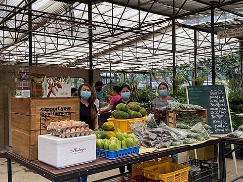DAVAO. From flowers to veggies -- the Puentespina Garden in Agdao, which used to be an orchid and ornamental flower garden, is now the main operations center of an online farm fresh grocery. (Contributed photo)