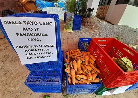 FREE HIGHLAND VEGETABLES. Vegetables donated by farmers and traders of La Trinidad Vegetable Trading Post were given to the public while some officials bought vegetables to support farmers and those in need amid the Covid-19 pandemic. (La Trinidad Mayor's Office photo)