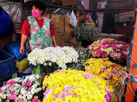 SLOW DAY. A vendor arranges flowers at a stall in Km. 5, La Trinidad. Flower vendors at the La Trinidad Public Market Parking area will be allowed to sell their blooms until November 10. (Andrey Pagulayan)