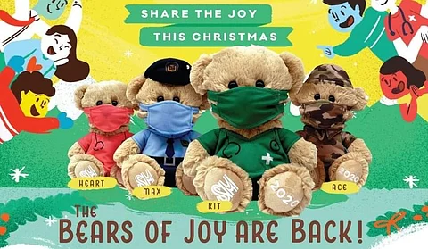 Bears of Joy are back