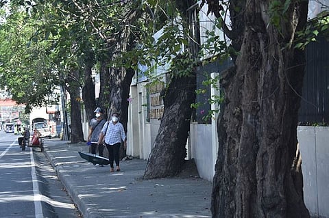 Photo by Mark Perandos