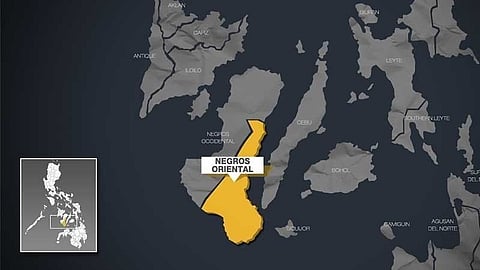 Negros Oriental map.