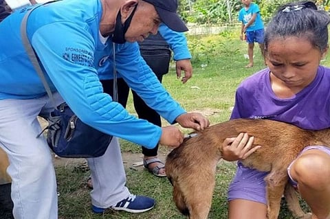 CVO intensifies rabies IECs in schools