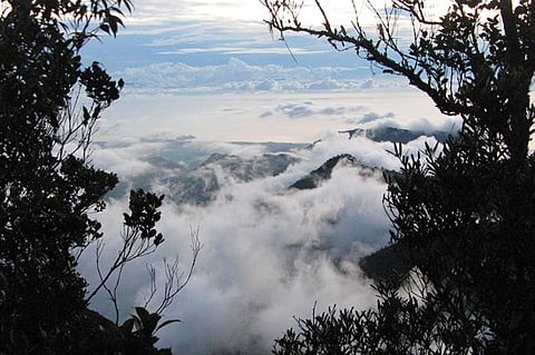 DAVAO. Mount Hamiguitan.