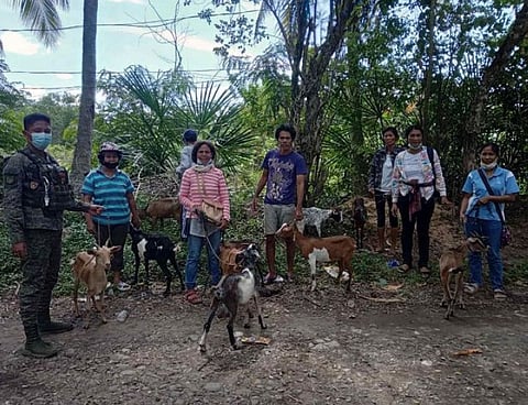 LIVESTOCK DISPERSAL. Former insurgents turned peace and development volunteers and organized farmers association by the Army's 39th Infantry Battalion (IB) receives 65 heads of goats on Thursday, September 23, from the Department of Agriculture in Soccsksargen. A photo handout shows the recipients of the livestock dispersal program, who are from Banayal, an insurgency-cleared village in Tulunan, North Cotabato, and the goats they received to raise for livelihood. (SunStar Zamboanga)