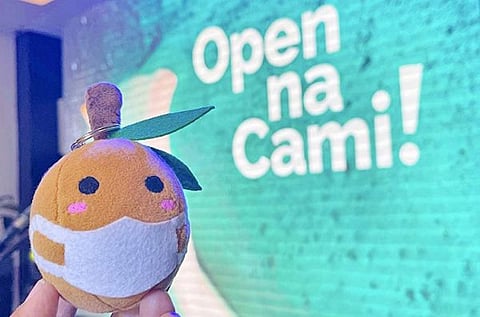 CAMIGUIN. Meet Lanz, Camiguin's mascot. (Contributed photo)