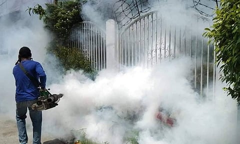 Davao City reports 53% drop in dengue cases in 2025