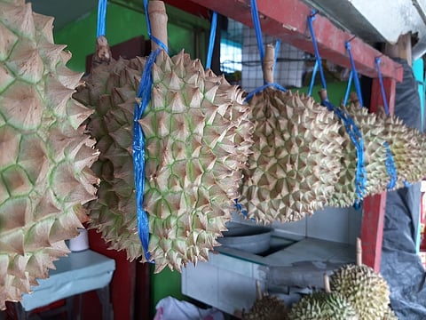 Photo by Iona Mendoza