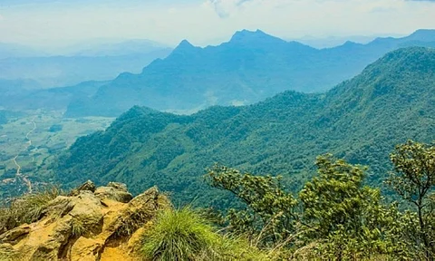 (PIA-Davao Photo)