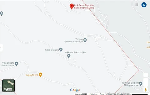 (Google map)