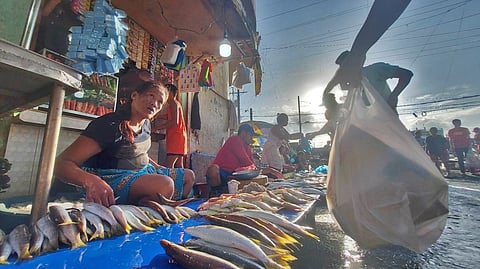 Carbon market vendors urge Cebu City Council to review P8-billion modernization deal