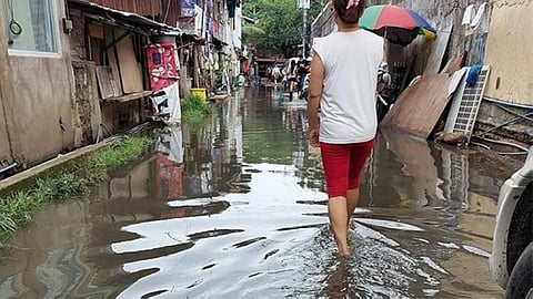Health office warns residents vs. rise in leptospirosis cases
