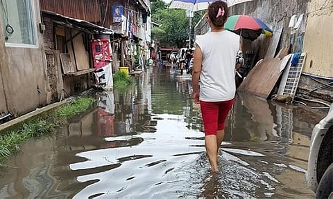 Marcos calls for better waste management to combat leptospirosis, dengue