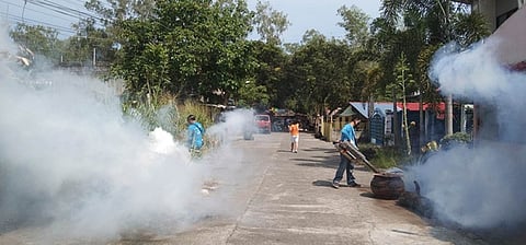The public is reminded to destroy mosquito-breeding sites to prevent dengue. (CHO photo)