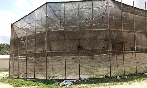 POULTRY FARM: Bisan ang net sa poultry farm sa Barangay Tubod, lungsod sa Barili puno gihapon sa langaw sa pagsusi sa mga opisyal sa lokal nga kagamhanan. / Tampo nga hulagway