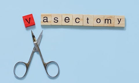 (Photo credit to Adobe Stock)