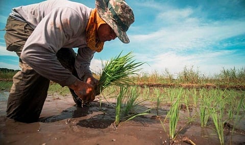 Davao City assists farmer affected
by landslide, flooding
