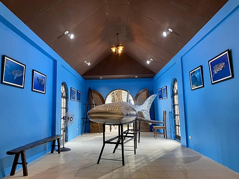 MUSEUM: Ang bag-ong museum tipik na sa atraksyon sa lungsod sa Oslob, gawas sa whale shark watching. / OSLOB LGU