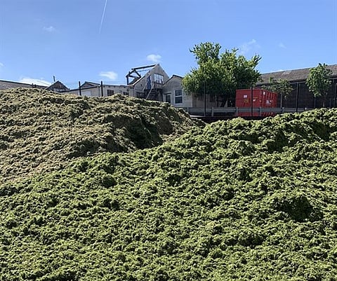 Wärtsilä Biogas Upgrading Plant will Help Turn Grass into Gas