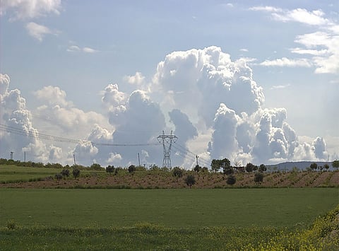 Turkey can Serve as ‘Green Industrialization’ Model: Experts