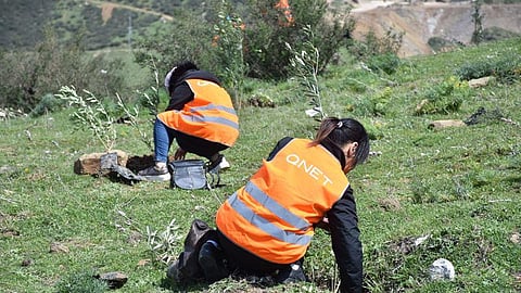 World Environment Day: QNET Commits Itself to Sustainable Development