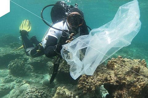 NBK Launches Awareness Campaign to Protect Marine Environment