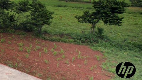 HP Reduces Carbon Footprint by 9%: Sustainability Report 2021 Reveals