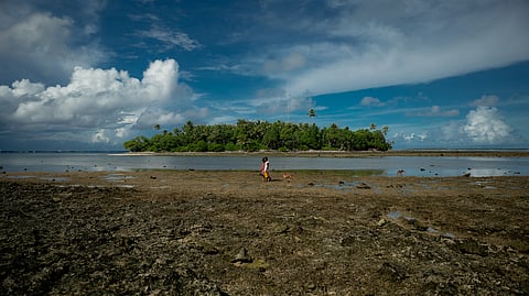 Climate Change Causing Global Heatwaves - Countries Must Rapidly Adapt