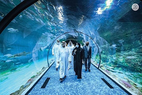 Hamdan bin Zayed Reviews Efforts to Rehabilitate Marine Life