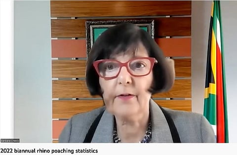 Ecosystem under Threat: 259 Rhinos Poached in South Africa in H1 2022