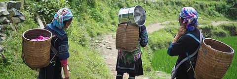 How Indigenous Peoples Enrich Climate Action?