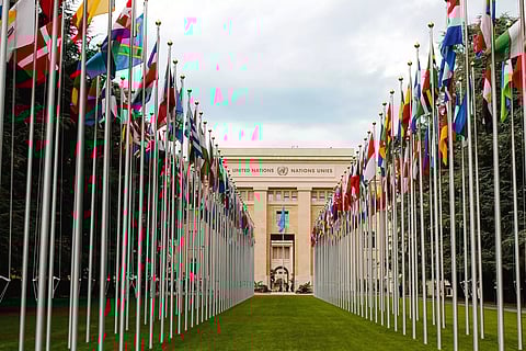 UN Declares Access to Healthy & Sustainable Environment A Human Right