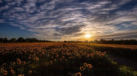 Three Keys to a Sustainable Future in the MENA Region