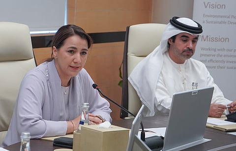 UAE Climate Council Explores Net-Zero Efforts with Private Sector