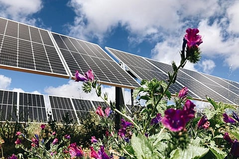 Abdul Latif Jameel Energy’s FRV to Build Solar Plant in Spain