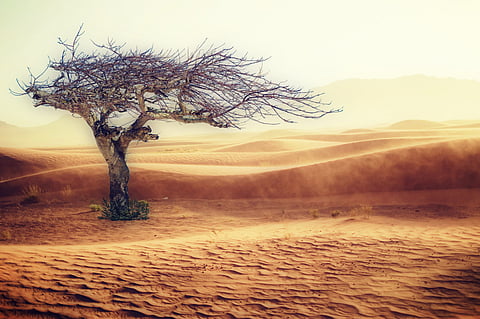 ADIPEC 2022 Discusses Energy Security and Sustainability