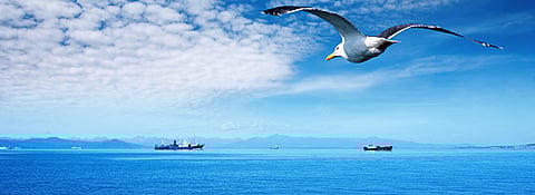 Dumping of Sewage Sludge at Sea to be Prohibited Worldwide