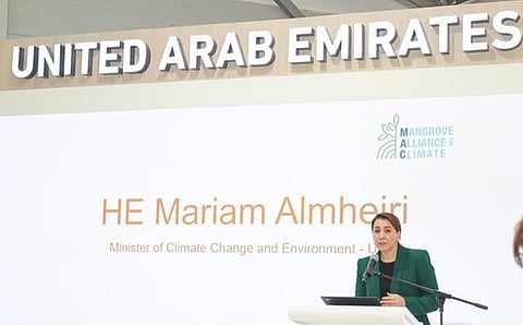 UAE, Indonesia Unveil Mangrove Alliance for Climate at COP27