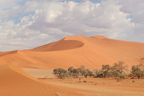 NCVC Showcases its Initiatives at Saudi Green Initiative Forum