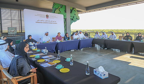 MOCCAE Launches Roadmap for National Carbon Sequestration Project