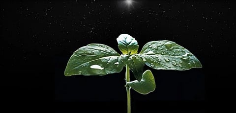 World Could Reach Net Zero Sooner with Adoption of Space Tech: Study